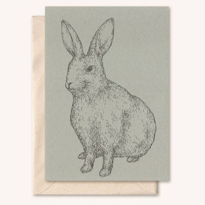 Kort med konvolutt: Hare