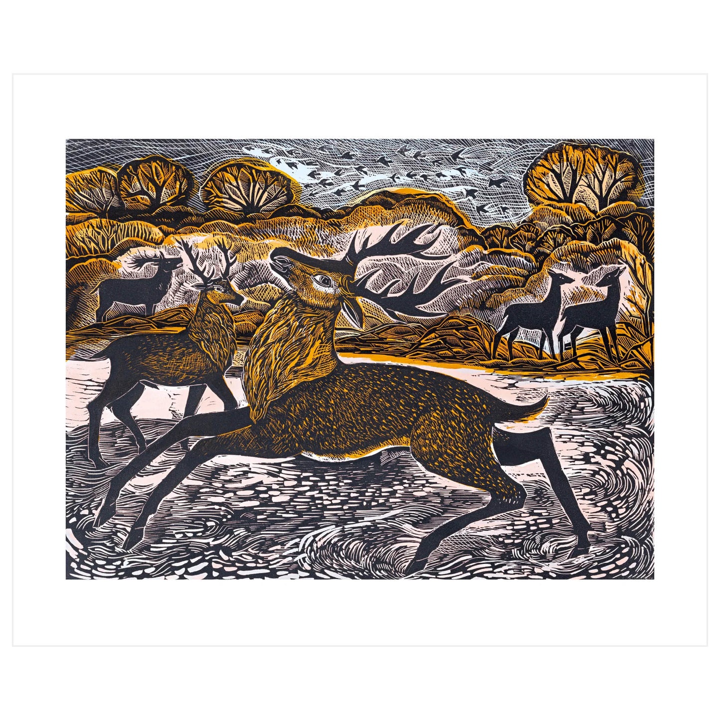 Red Knepp Deer (Kort m. konvolutt)