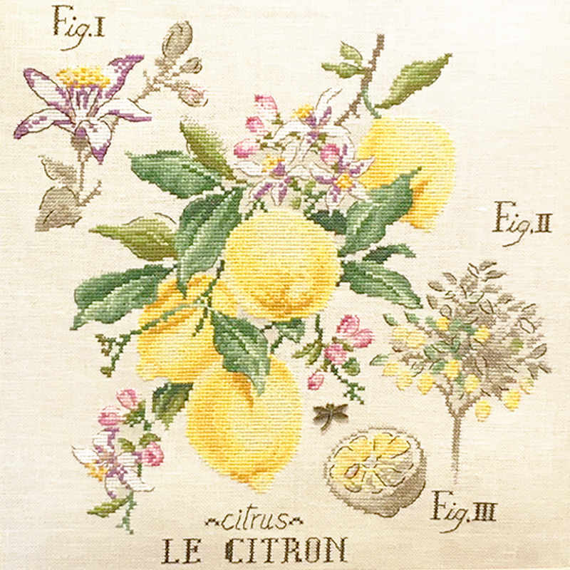 Citron Study (sitron) broderikit