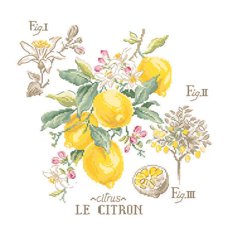 Citron Study (sitron) broderikit