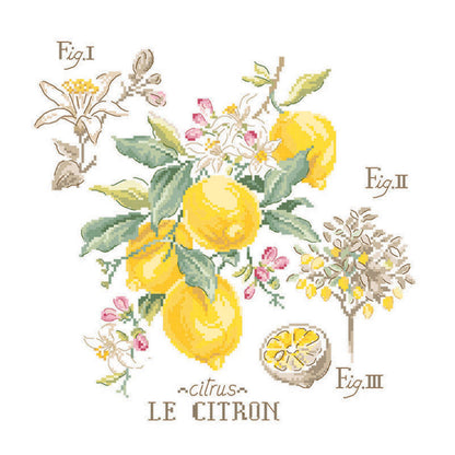 Citron Study (sitron) broderikit