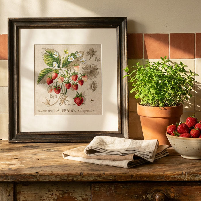 Fraise Study (jordbær) broderikit