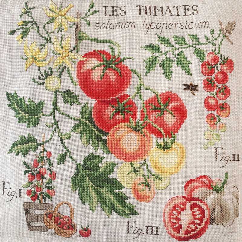Tomates Study (tomat) broderikit