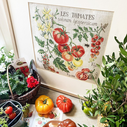 Tomates Study (tomat) broderikit