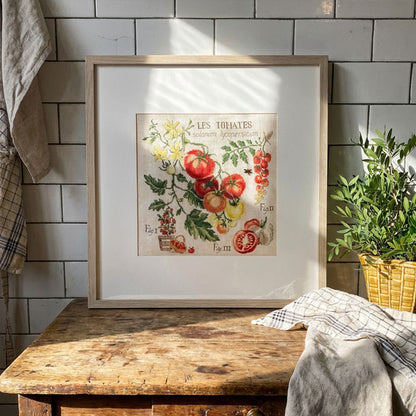 Tomates Study (tomat) broderikit