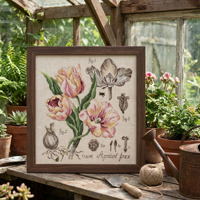 Tulipe Study (tulipan) broderikit