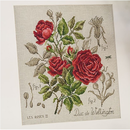 Rose "Duc de Wellington" Study (rose) broderikit