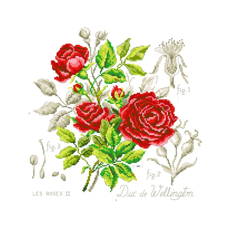 Rose "Duc de Wellington" Study (rose) broderikit