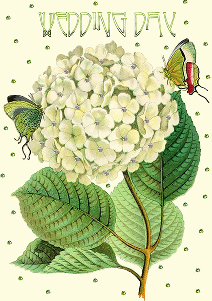 Bryllupskort hortensia med glitter (m. konvolutt)