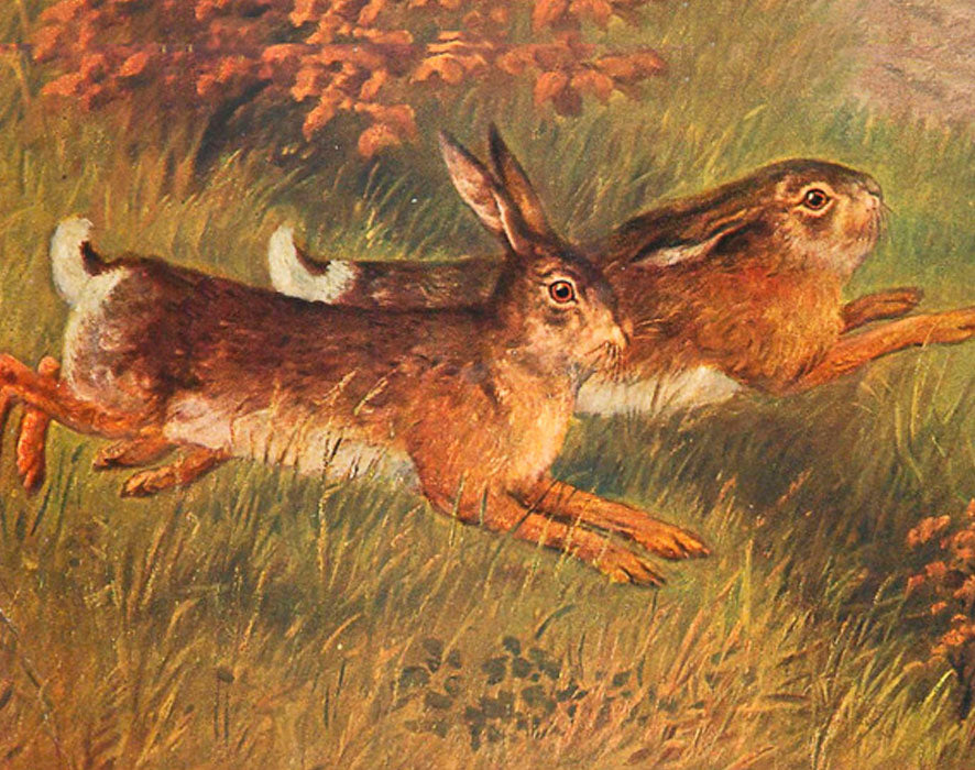 Løpende harer (m. konvolutt)
